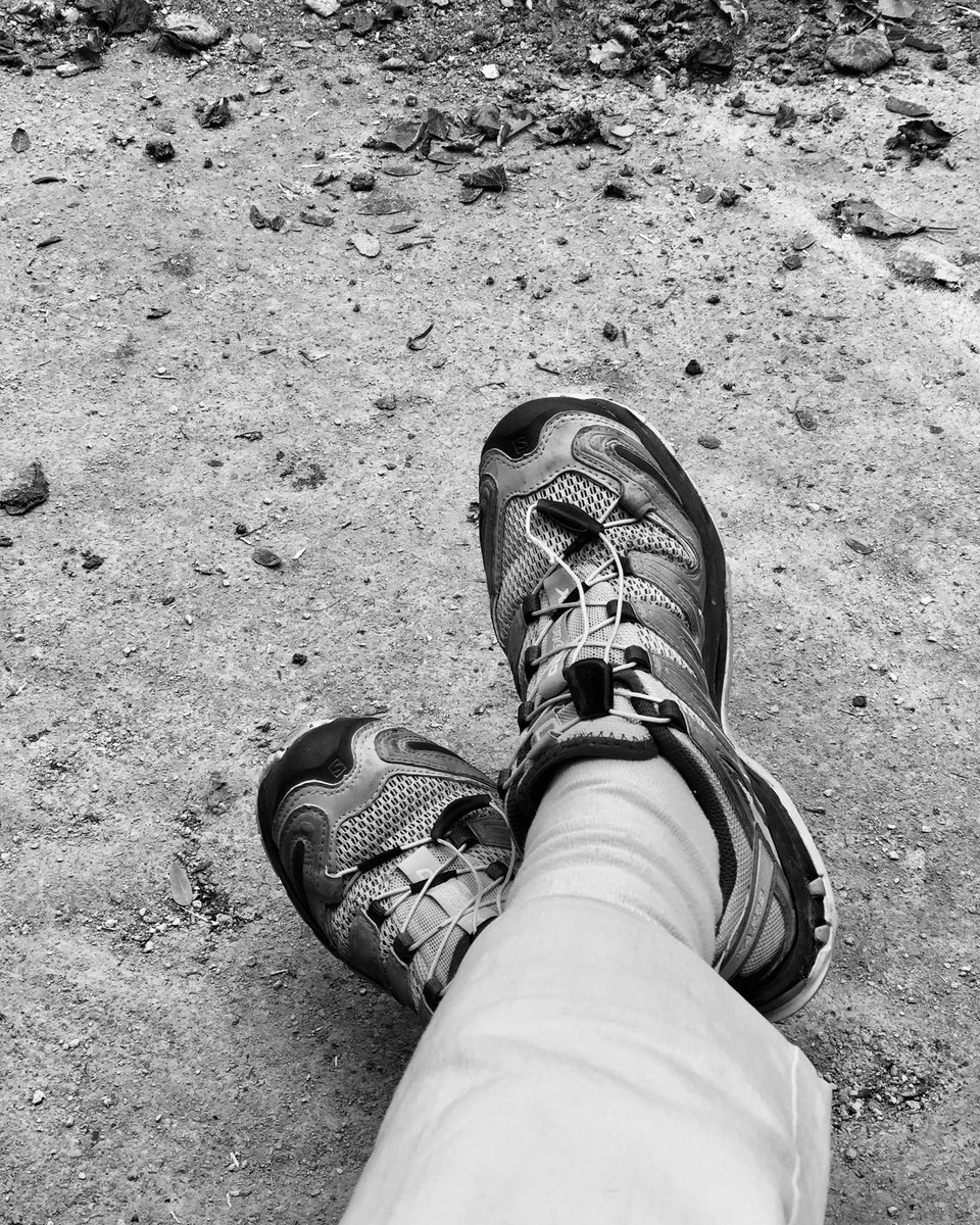 Photosclindoeil's tweet photo. #relax #cool #marche tranquille ! https://t.co/CS5JyiXdMH