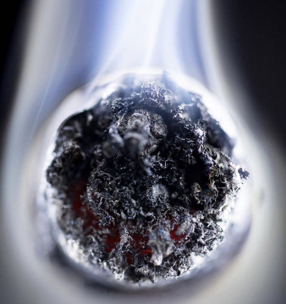 theherbheads's tweet photo. Half of the #Journey is the End🎭
⠀⠀⠀⠀⠀⠀⠀⠀⠀
•※• HC🕊
⠀⠀⠀⠀⠀⠀⠀⠀⠀
“Dust to dust, Ashes to Ashes…Is that all?”

🗞: Unknown
🧠: Dejan Stojanovic
👥: @theherbheads
📸: @BentleyRolling https://t.co/Wx2emp8rA8