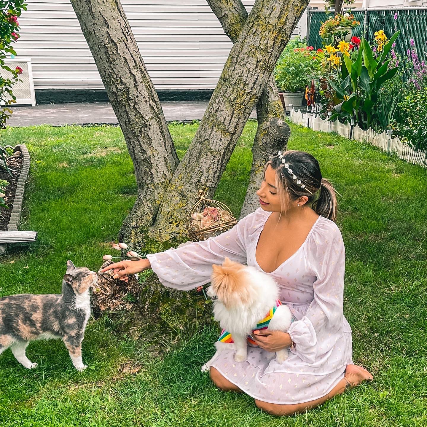 TW Pornstars - Iamjessenia. Twitter. RIP Emmy my cat. 8:54 PM - 6 Nov 2021