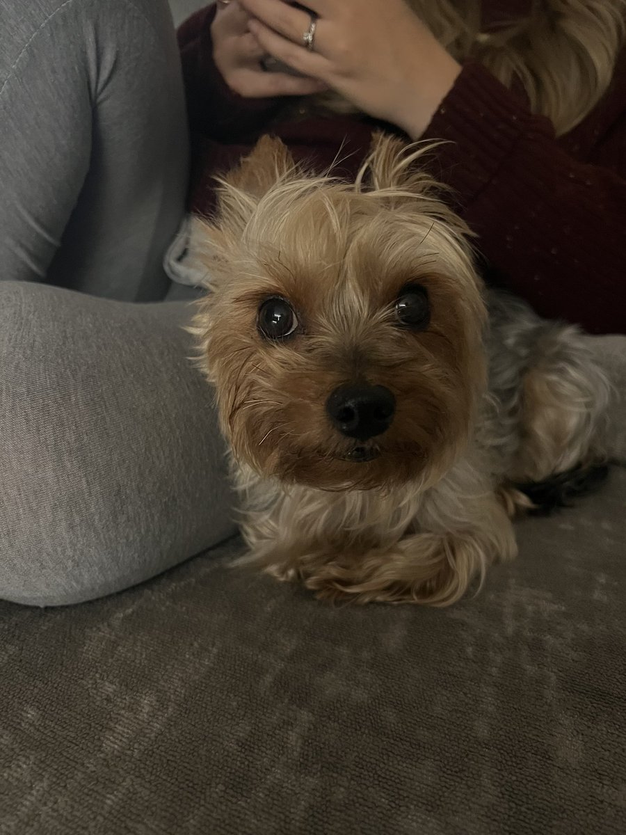 Rob Mascari tweet media