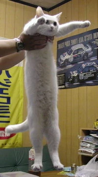 dídac y su mari tweet media