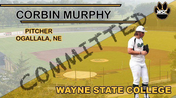 100% committed. Excited to be a Cat 🐯🆙 <a href="/WSCBB/">Wayne State Baseball</a>