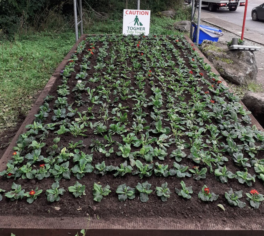 TogherT's tweet photo. What a great turnout again for @TogherT  for our annual winter bedding project. Thanks @corkcitycouncil &amp; to Noel Costello from @ryanssupervalu for transportation and to the staff at Inver garage for tea/coffee and refreshments for the volunteers that was so greatly appreciated https://t.co/hxnuGTLxL8