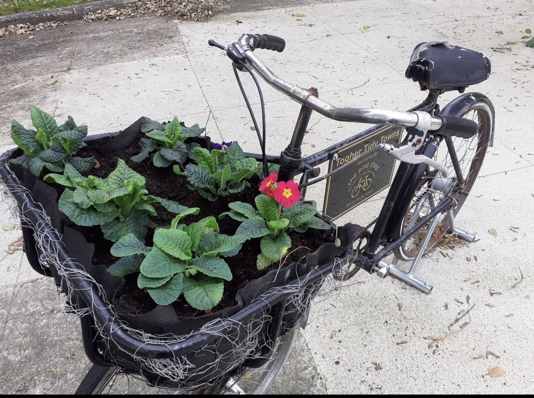 TogherT's tweet photo. What a great turnout again for @TogherT  for our annual winter bedding project. Thanks @corkcitycouncil &amp; to Noel Costello from @ryanssupervalu for transportation and to the staff at Inver garage for tea/coffee and refreshments for the volunteers that was so greatly appreciated https://t.co/hxnuGTLxL8