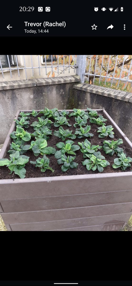 TogherT's tweet photo. What a great turnout again for @TogherT  for our annual winter bedding project. Thanks @corkcitycouncil &amp; to Noel Costello from @ryanssupervalu for transportation and to the staff at Inver garage for tea/coffee and refreshments for the volunteers that was so greatly appreciated https://t.co/hxnuGTLxL8