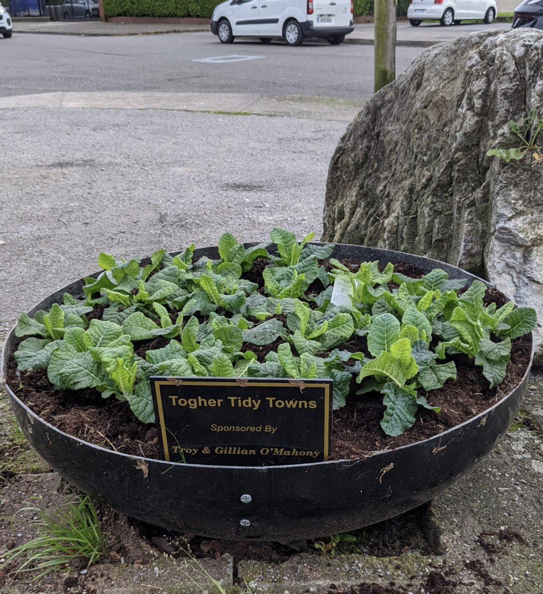 TogherT's tweet photo. What a great turnout again for @TogherT  for our annual winter bedding project. Thanks @corkcitycouncil &amp; to Noel Costello from @ryanssupervalu for transportation and to the staff at Inver garage for tea/coffee and refreshments for the volunteers that was so greatly appreciated https://t.co/hxnuGTLxL8
