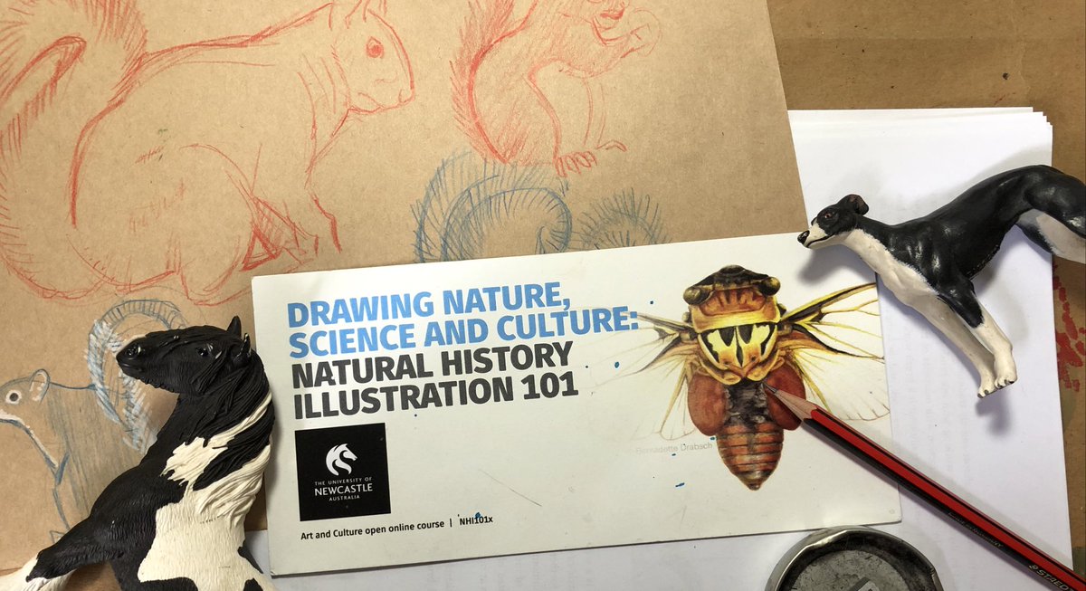 Live in a moment on twitch.tv/newcastlex with a drawing Q&amp;A on animal sketching.