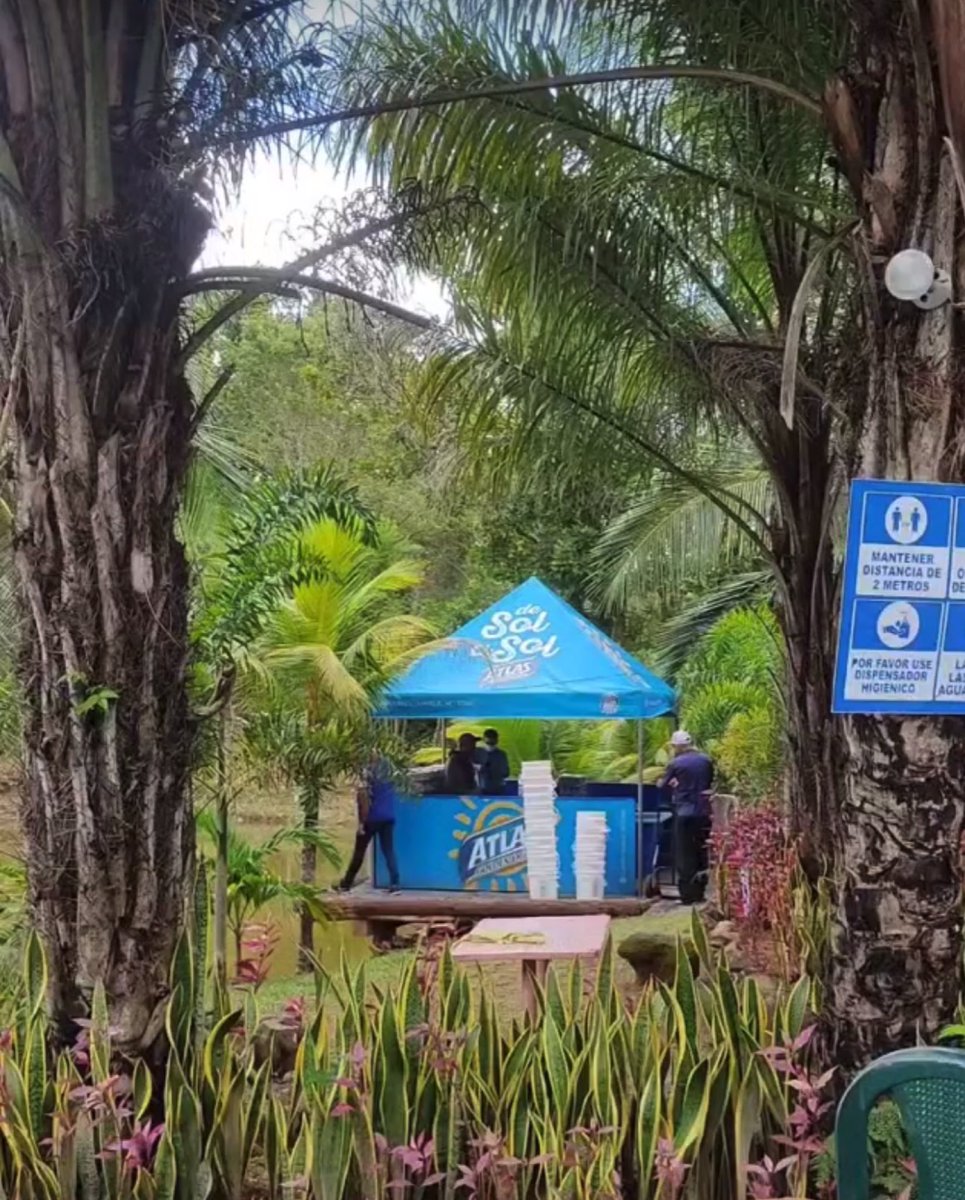 @Bar_felipito