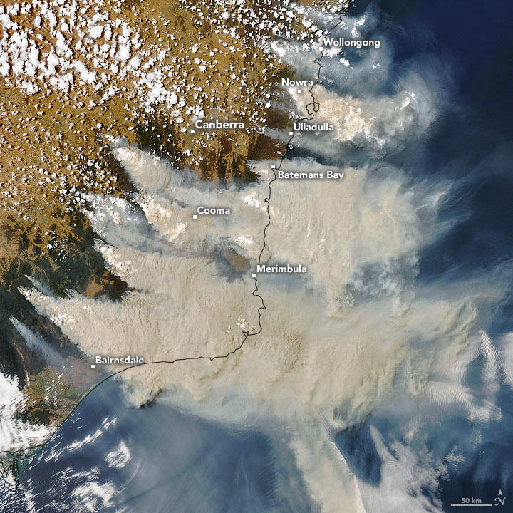 NASAEarth's tweet photo. Iron-rich aerosols from the 2019-2020 fires fertilized huge phytoplankton populations in the far South Pacific. https://t.co/f8PEtRVTqF https://t.co/IyoXJm7TOQ