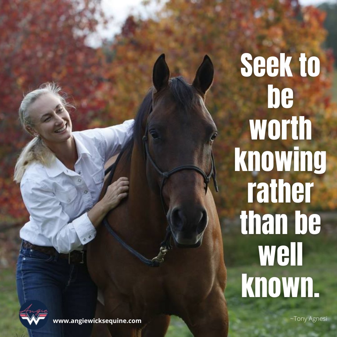 AngieEquine's tweet photo. #GoodMorning #angiewicks #angiewicksequine #groundwork #libertyhorse #horsemanship #angiewicksfromthegroundup #equestrianlife #horsetrainer #equestrian #libertyhorsemanship #ridinggoals #horserelationship
#equestriansuccess #coaching #horserelationship #fortheloveofhorses https://t.co/gb3rCLcBES