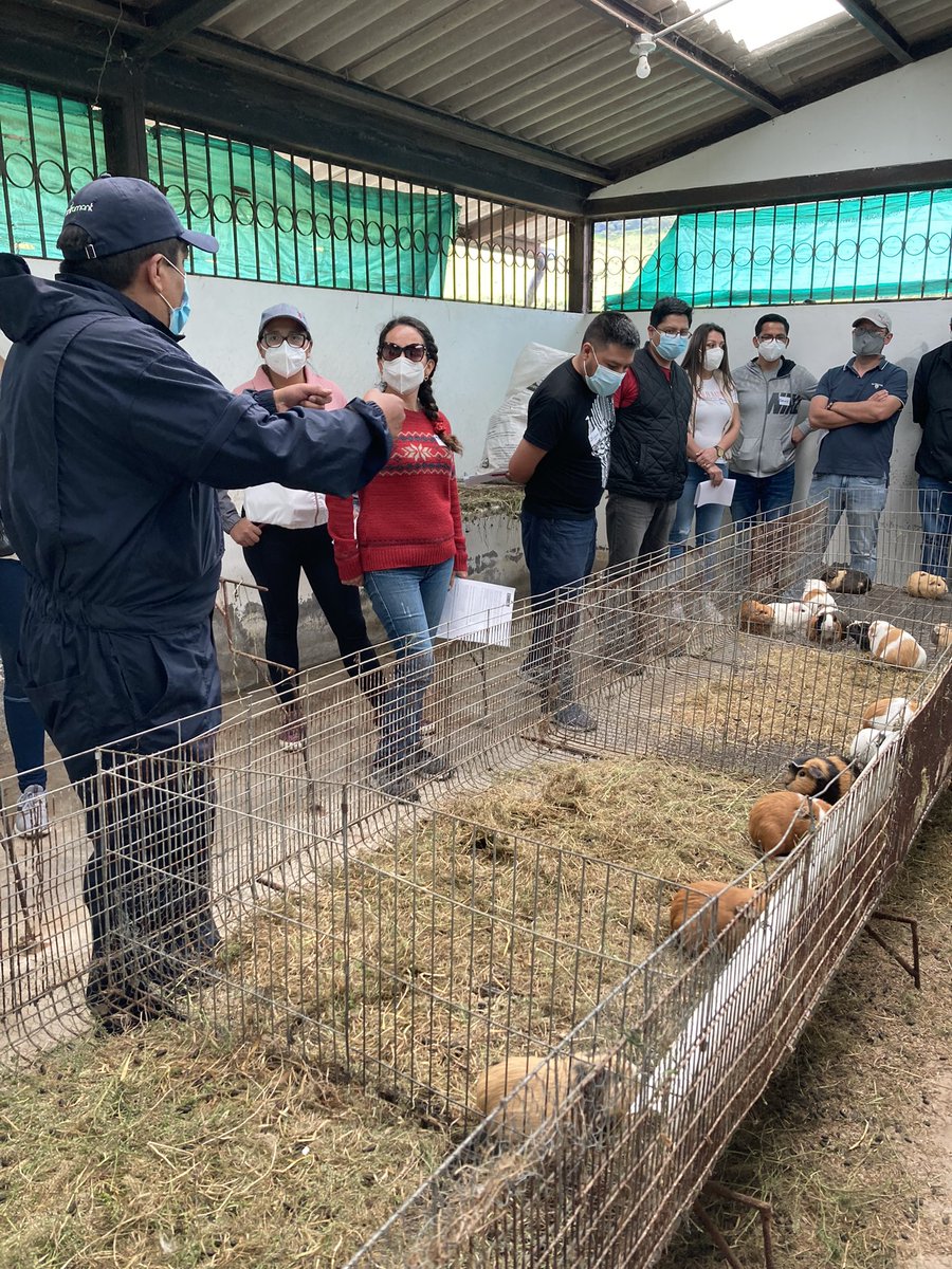 UDLAEcuador's tweet image. #EDNUDLA Hoy los nuevos estudiantes del #MBA visitaron La Granja para aprender sobre los procesos productivos y realizar actividades que potencien sus habilidades y talentos.