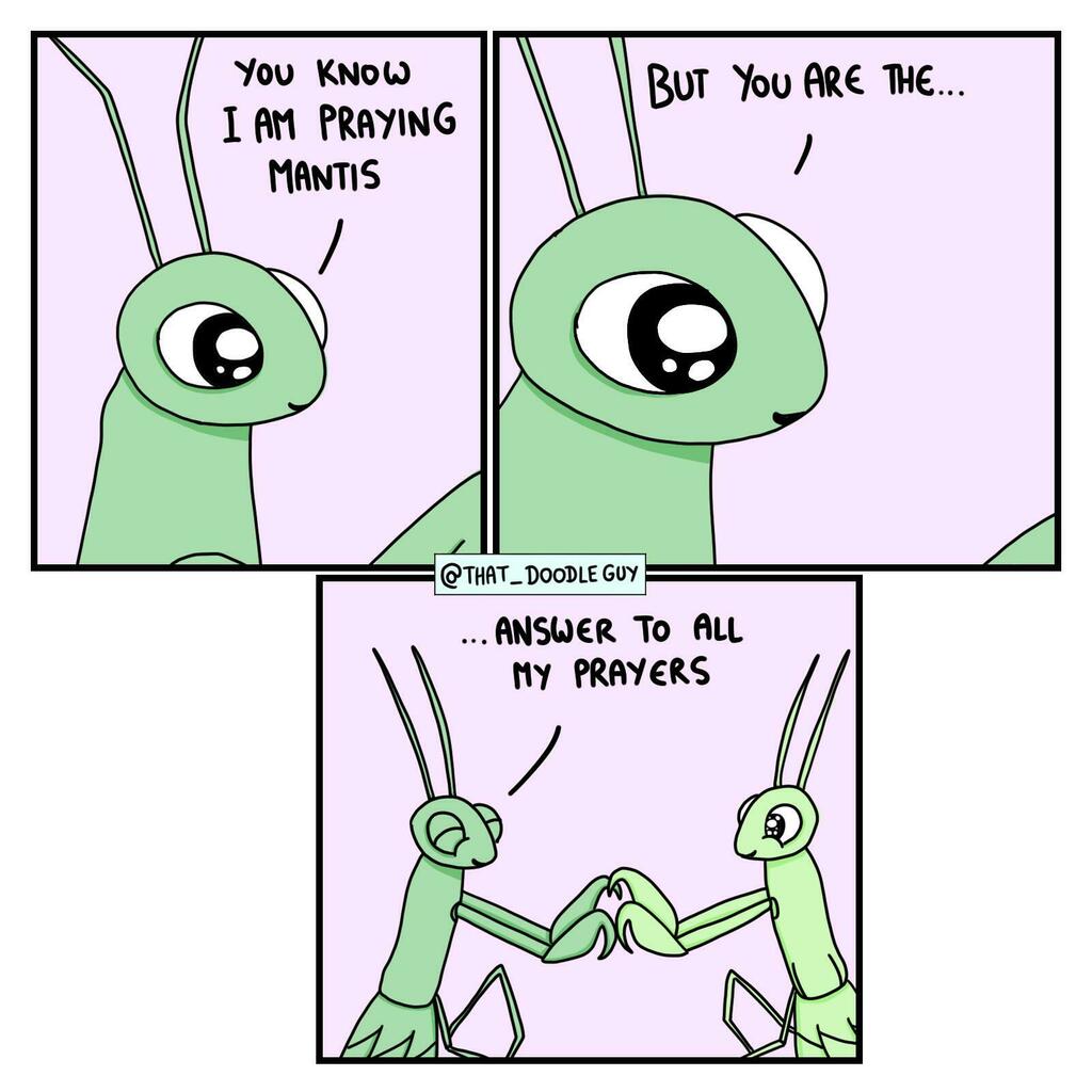 My prayers [OC] #Wholesome