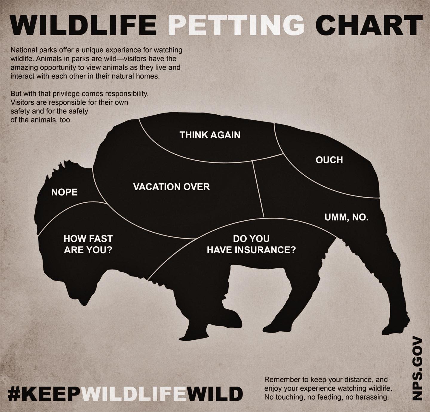 National Park Service on Twitter: National Park Service on Twitter:
