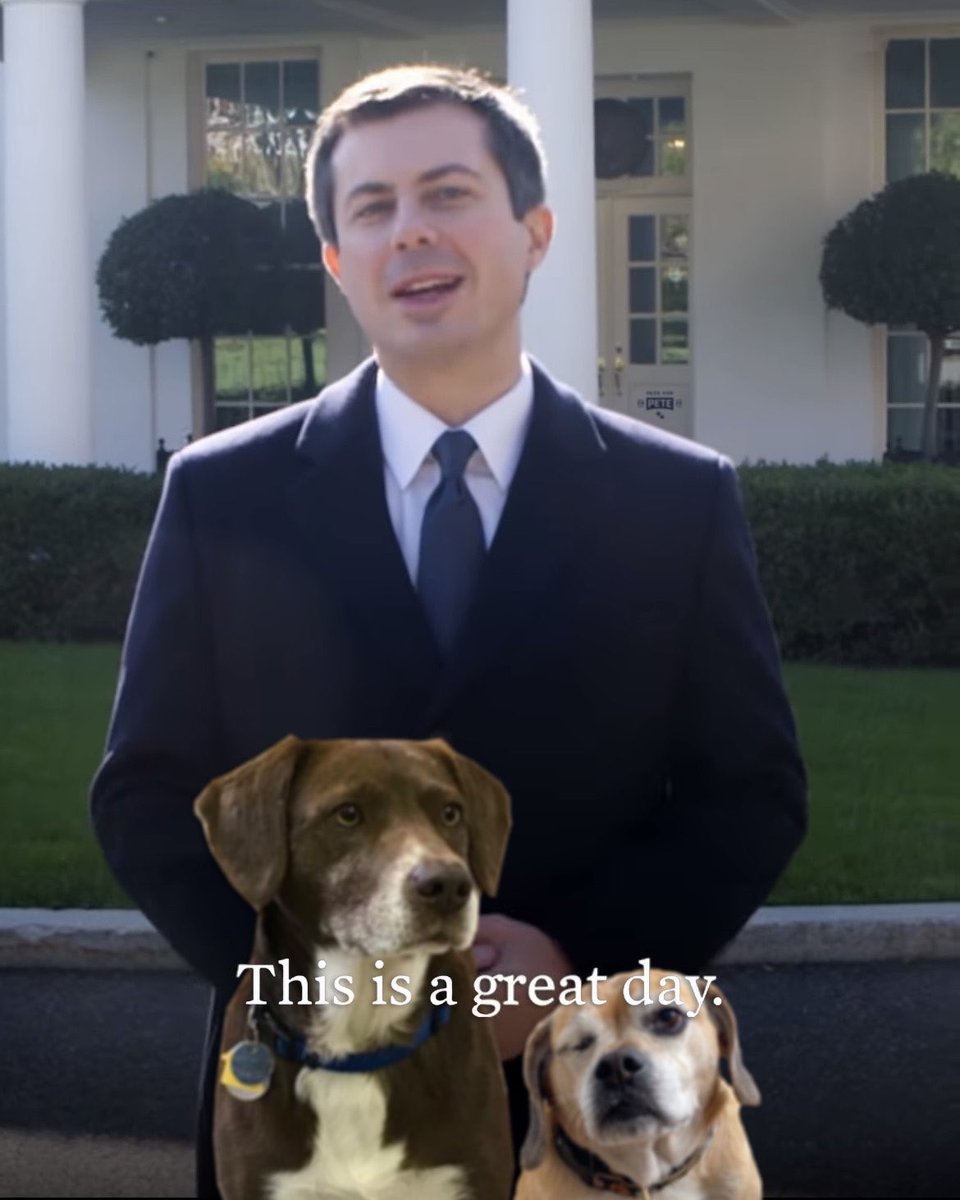 Pets for Pete for Joe tweet media