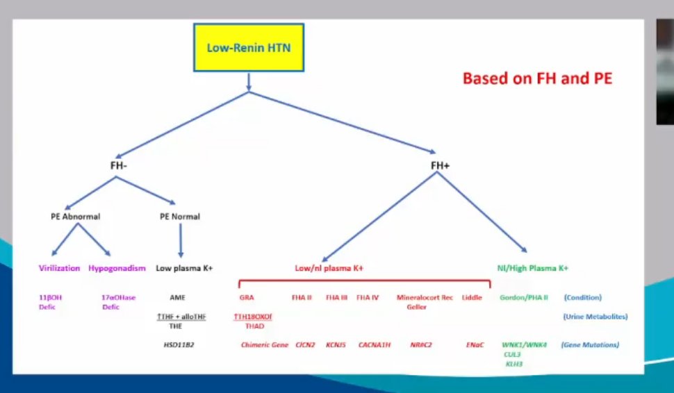 drM_sudha's tweet photo. Algorithm for #monogenicHTN
1. based on labs
2. based on fam Hx
dual approach is more practical
#ASNKids21 #KidneyWk #HTN #secondaryHTN #PedsHTN
@ASPNeph @AspnResearch @ASNKidney https://t.co/Y6D5yCTyOM