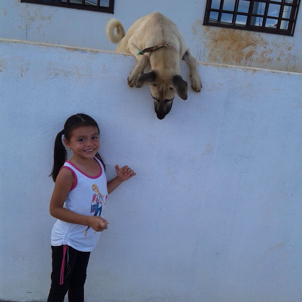 acosta santi (@acostasanti2) on Twitter photo 