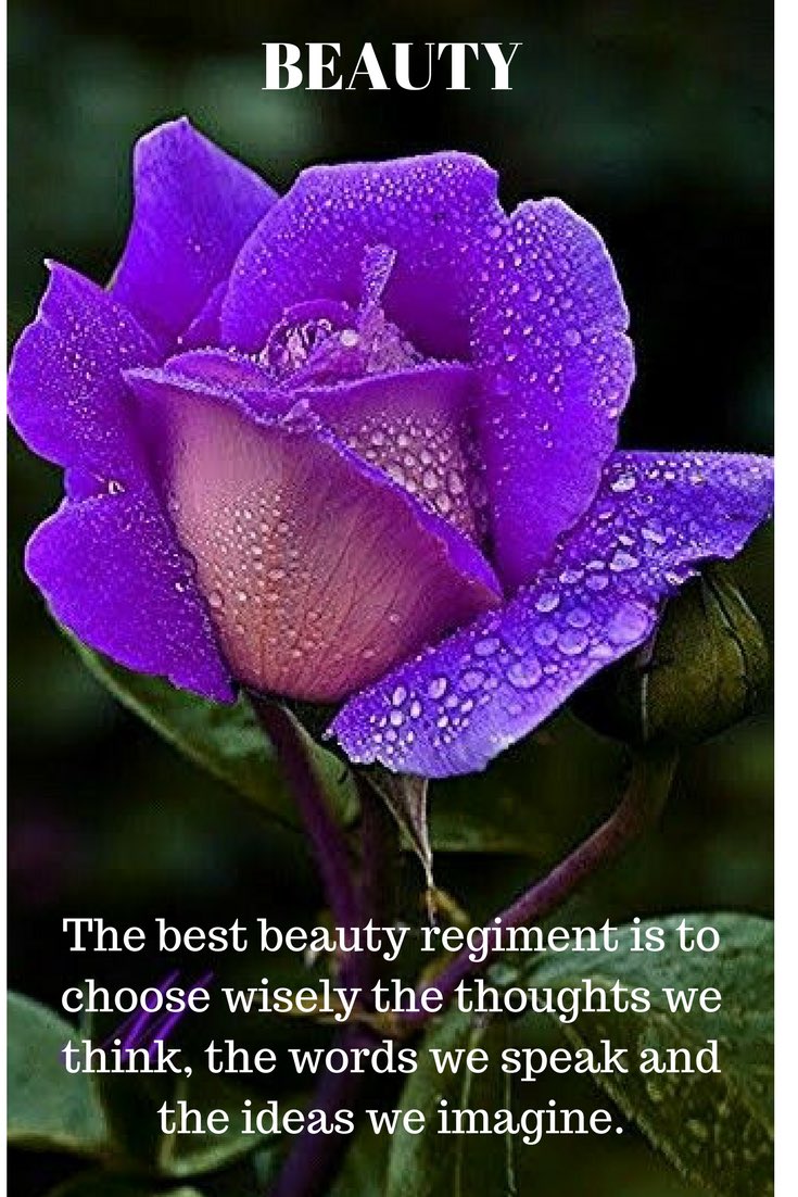 Dianne__LadyD's tweet image. #inspiringquotes 
#SaturdayMotivation 
#WeekendWisdom 
#lifequotes 
#Thoughtoftheday 
#JoyTrain 
#GoldenHearts 
#ThinkBIGSundayWithMarsha