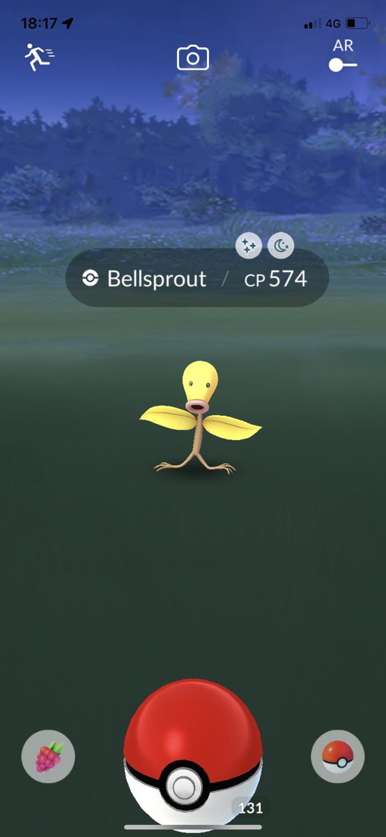 hurriccaardo's tweet photo. Result of a 30-minute stroll 😄 #pokemonGo #shiny #hundo #pokewalk https://t.co/NZoNXniKj8