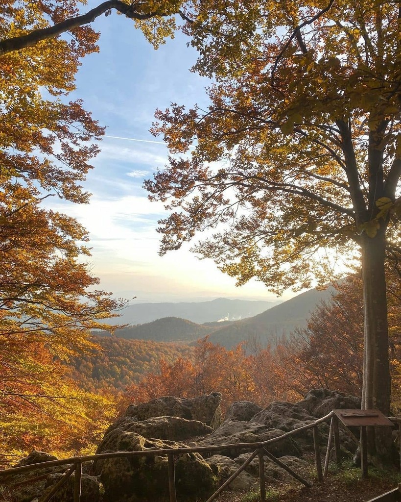 TuscanyPlanet's tweet photo. Autunno sull'Amiata
.
Photo by @sofiaolivi95
.
#tuscanyplanet #traveltotuscany #visittuscany #tuscanlandscape #tuscanlife #tuscany #toscana #autumn #amiata https://t.co/xxwwRVS9mx https://t.co/B0WxghblzR