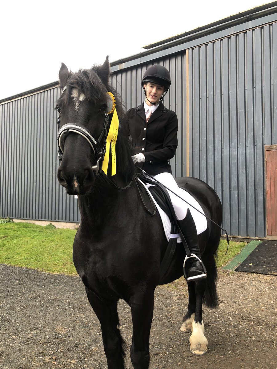 JenneyCreative's tweet image. Surprise 3rd place ribbons today at their first dressage comp! Clever girls ❤️❤️