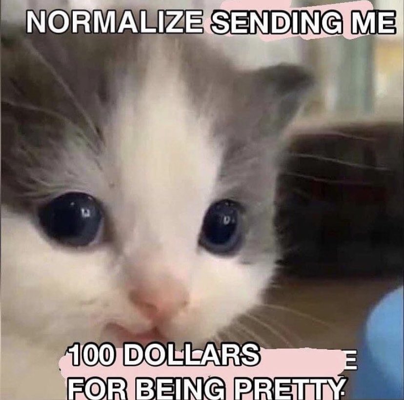 wh0rrorcreature's tweet photo. https://t.co/9I49ObW854