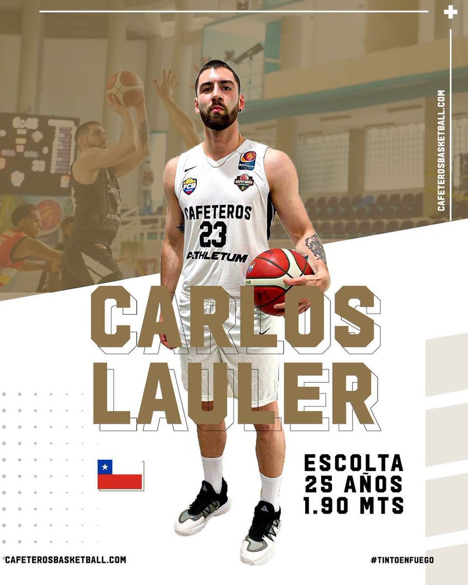 modobasket tweet media