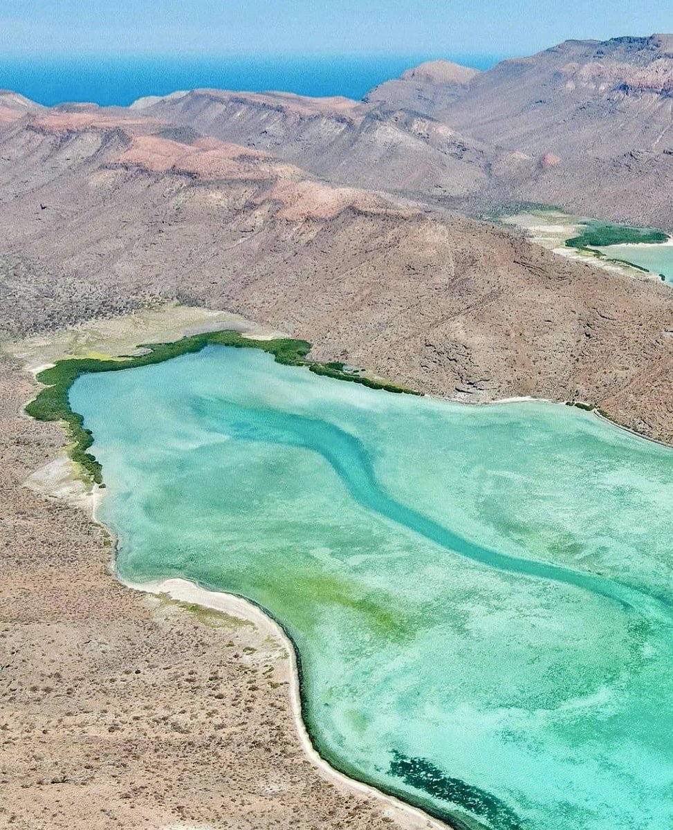 BcsMag's tweet photo. 😍 Las playas de la isla Espíritu Santo, una de las grandes joyas que guarda #LaPazBCS para aquellos visitantes que salen fuera de la bahía 📷: Alex Velasco https://t.co/Xifi2KBPDe