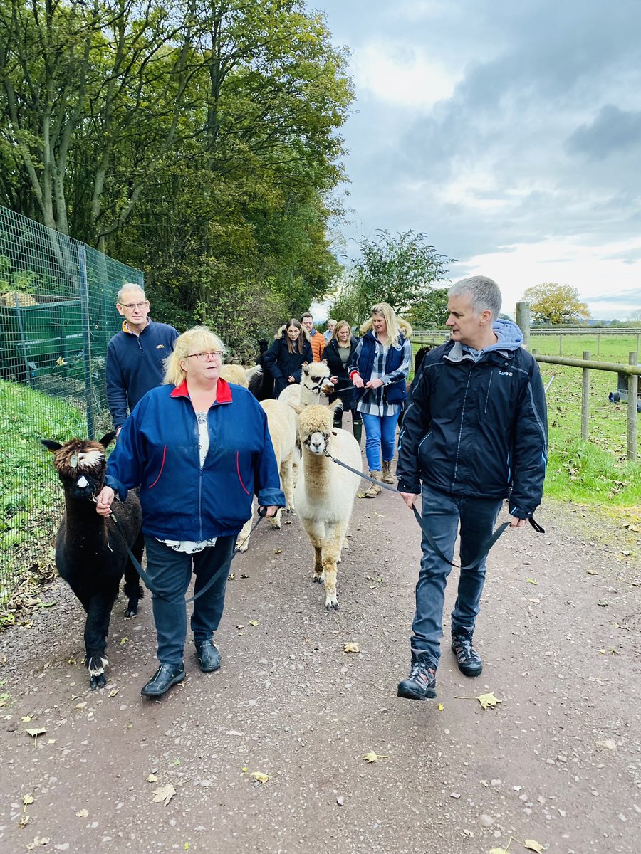 gemdavies3's tweet photo. Such a lovely afternoon with my colleagues & these stunning alpacas! Great team building activity & such a lovely relaxing place. Proud to work with all these amazing people. #students #podietry #health&wellbeing #telfordwoundhealingservice @ShropCommHealth @wildwoodalpacas https://t.co/DGo8FzjQuL