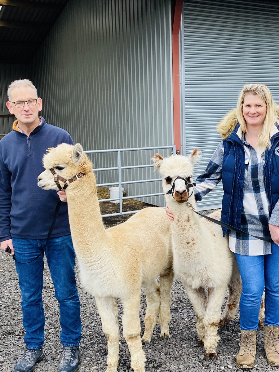 gemdavies3's tweet photo. Such a lovely afternoon with my colleagues & these stunning alpacas! Great team building activity & such a lovely relaxing place. Proud to work with all these amazing people. #students #podietry #health&wellbeing #telfordwoundhealingservice @ShropCommHealth @wildwoodalpacas https://t.co/DGo8FzjQuL