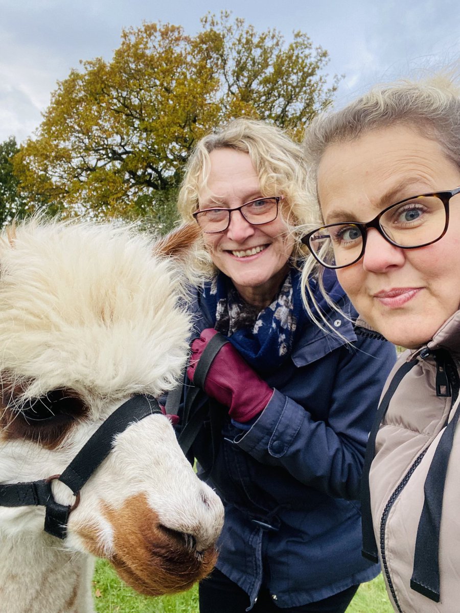 gemdavies3's tweet photo. Such a lovely afternoon with my colleagues & these stunning alpacas! Great team building activity & such a lovely relaxing place. Proud to work with all these amazing people. #students #podietry #health&wellbeing #telfordwoundhealingservice @ShropCommHealth @wildwoodalpacas https://t.co/DGo8FzjQuL