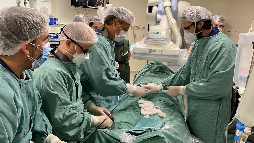 Anibal Pires Borges tweet media