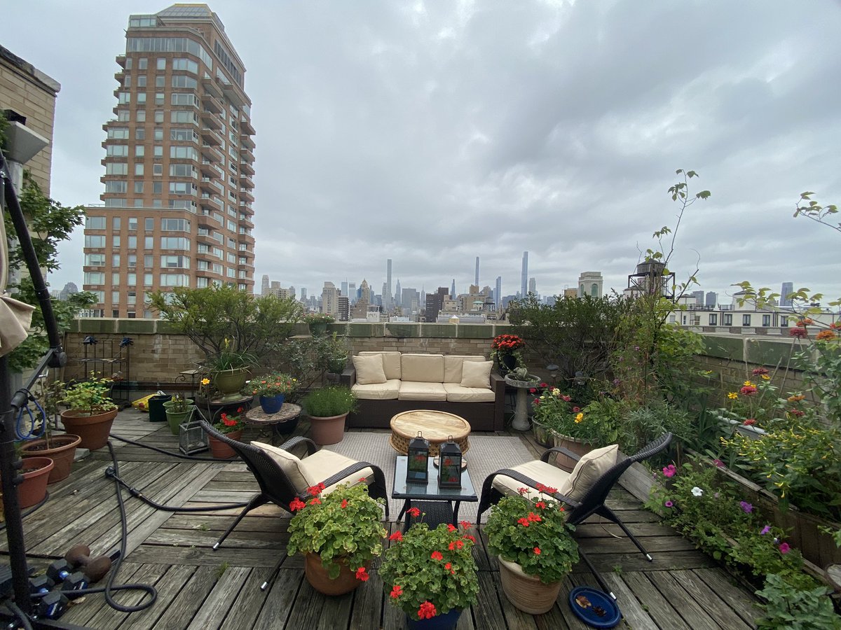 My darling George &amp; I love every minute at home in #NYC. Our garden, seeing loved ones, falling in love with our #rescuecat 🐈‍⬛. Back to warmer weather for now, much #love &amp; strength to all! ♥️ #catlovers <a href="/SoapDigest/">Soap Opera Digest</a> <a href="/soapcentral/">Soap Central</a> <a href="/soapsdotcom/">SheKnows' Soaps</a> <a href="/WeLoveSoapsTV/">We Love Soaps TV</a> <a href="/allmychildren/">All My Children</a>