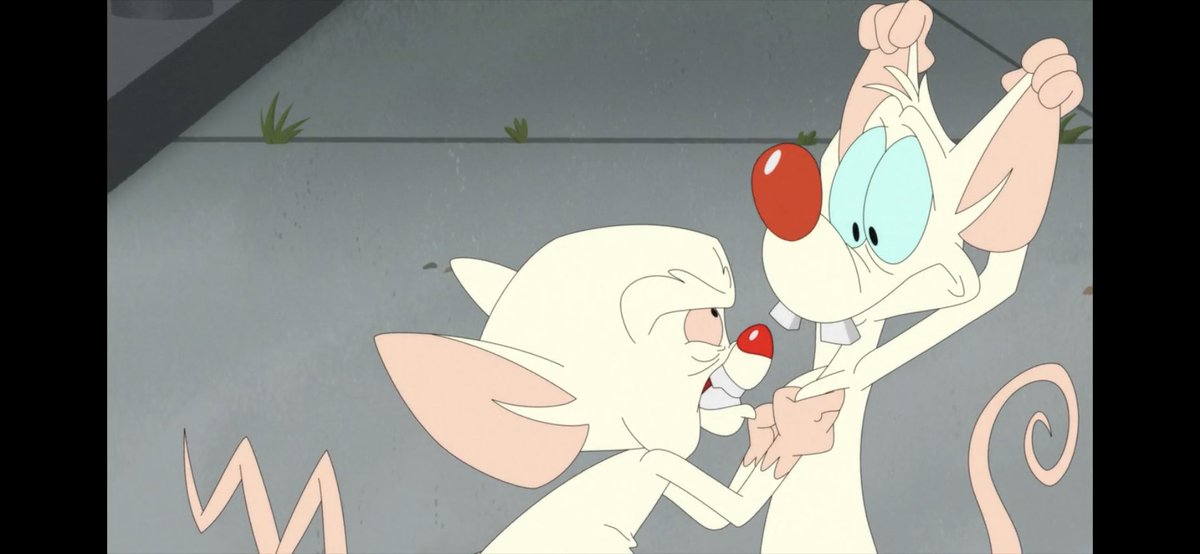 mouseygalore's tweet photo. // animaniacs s2 spoilers 
-
-
-
the one where brain gets up close and personal https://t.co/CT68VGhwb7