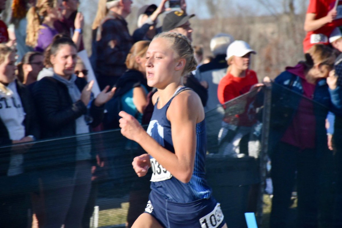 Zimmerman Thunder tweet media