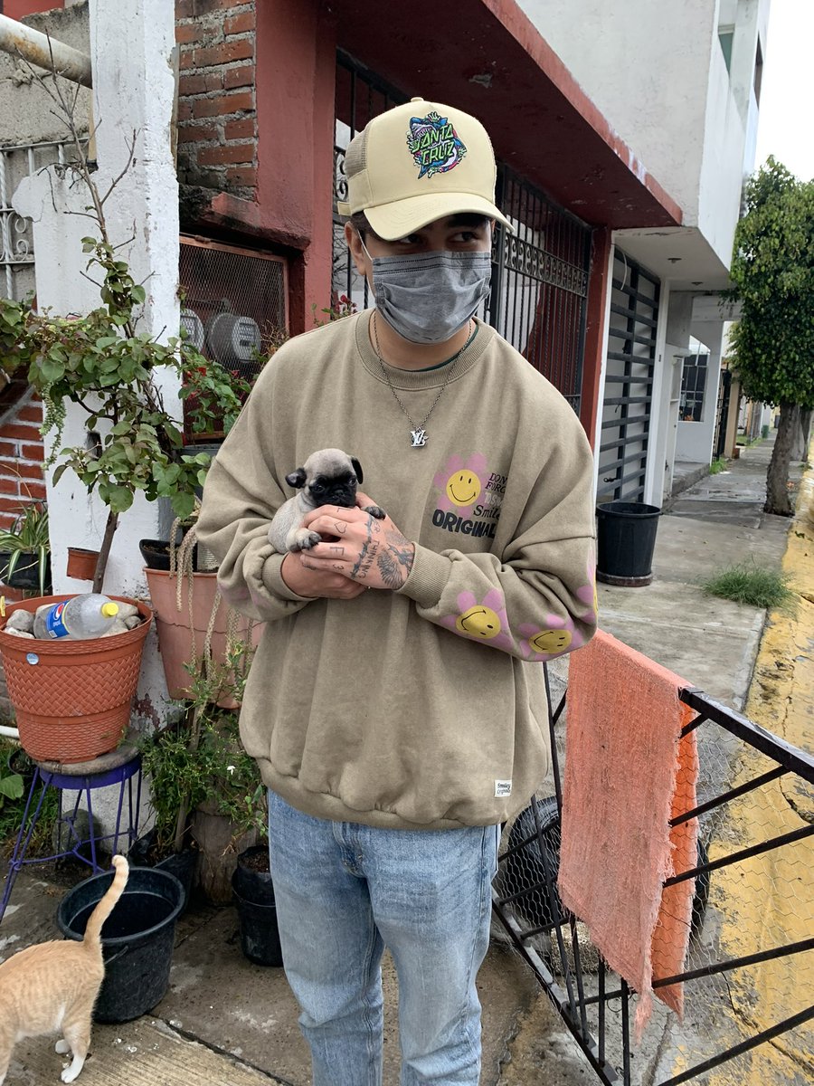 OneCoinOutfit's tweet image. sudadera de flores de puvlo
página de pullandbear: pullandbear.com/mx/sudadera-sm…