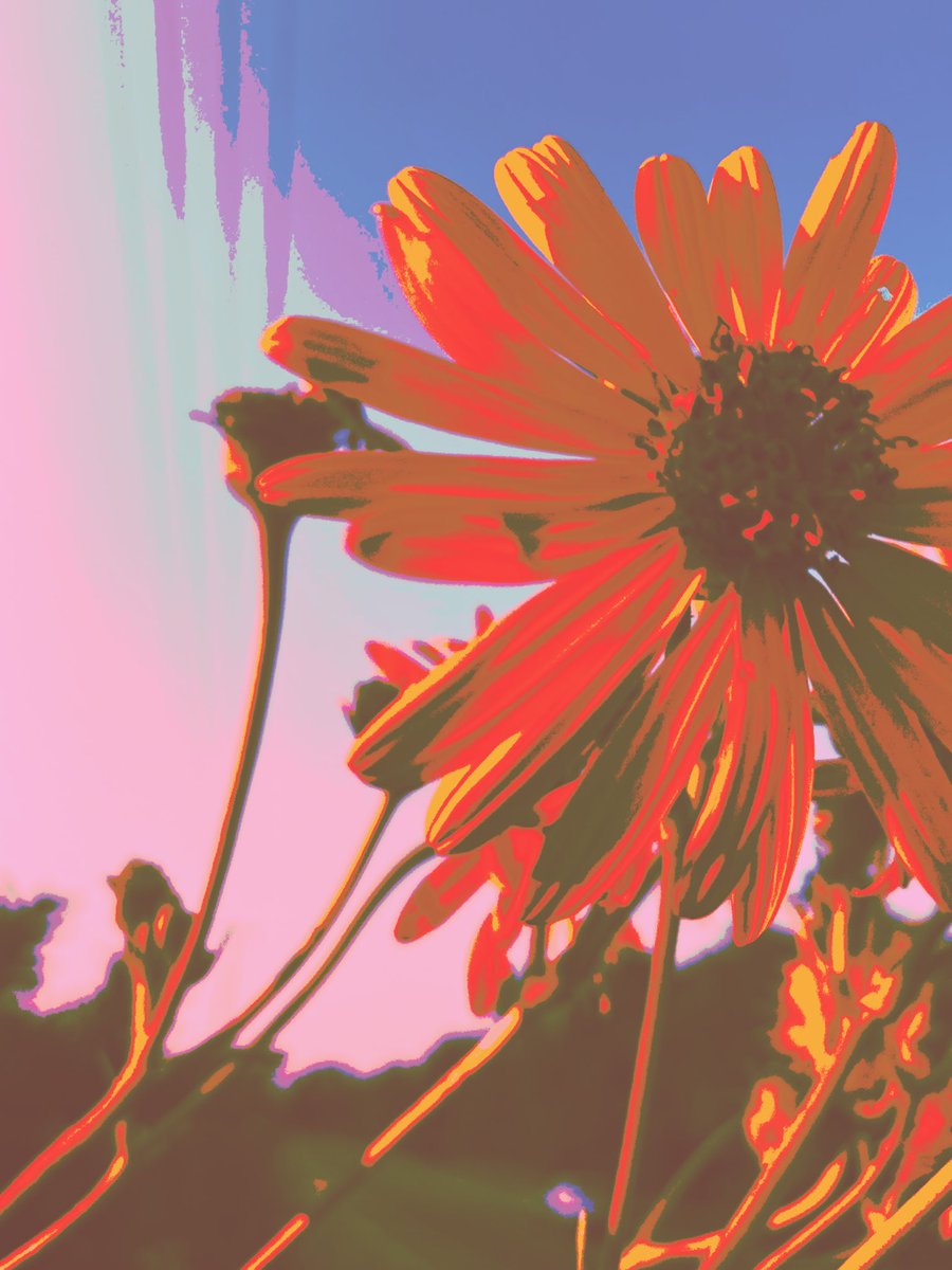 kippoart's tweet photo. https://t.co/ncvTGhFUjo