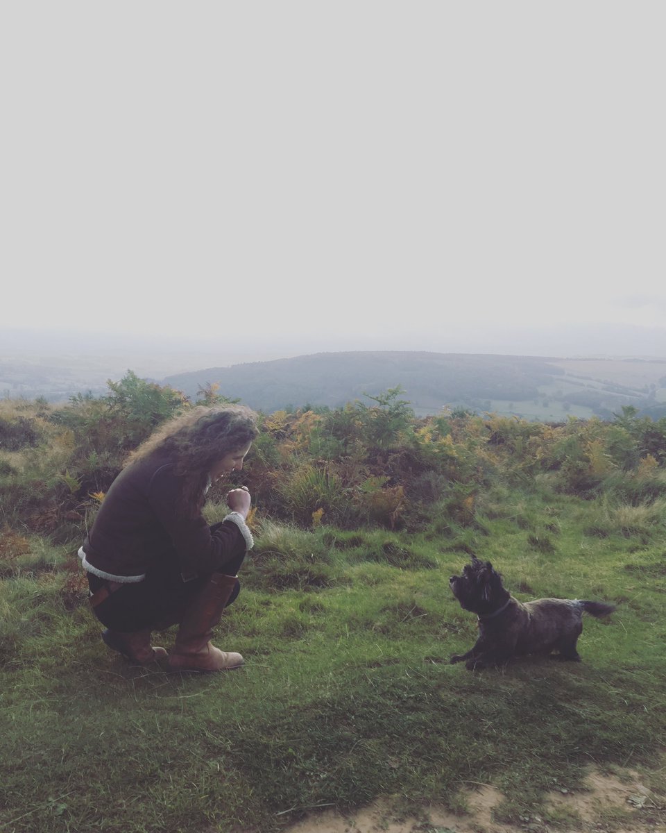 Heartbroken to have to let you know that our wonderful Gandalf passed away this week. 

He was loyal, stubborn, tenacious and loving, loved the Peak District, the Yorkshire seaside and getting under our feet whenever possible. By our side for 16 years, in our hearts forever 🐾