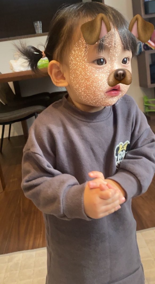 n3346g's tweet photo. ねねはほんと毎日の癒し👼🤎
年明けたらいっぱい遊びに行こう☺️ https://t.co/hvXzyzp2my