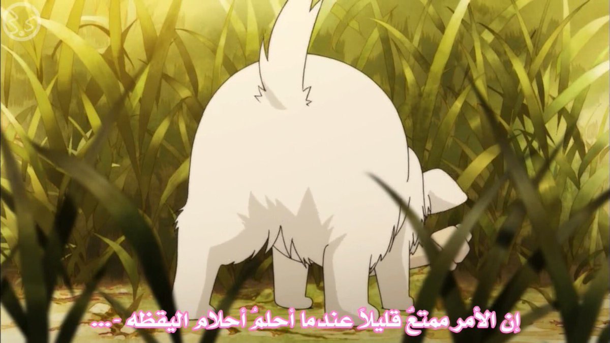 farahixv's tweet photo. واللهِ كثيراً مو قليلاً —🌈🌈. https://t.co/PRUu9G3ytr
