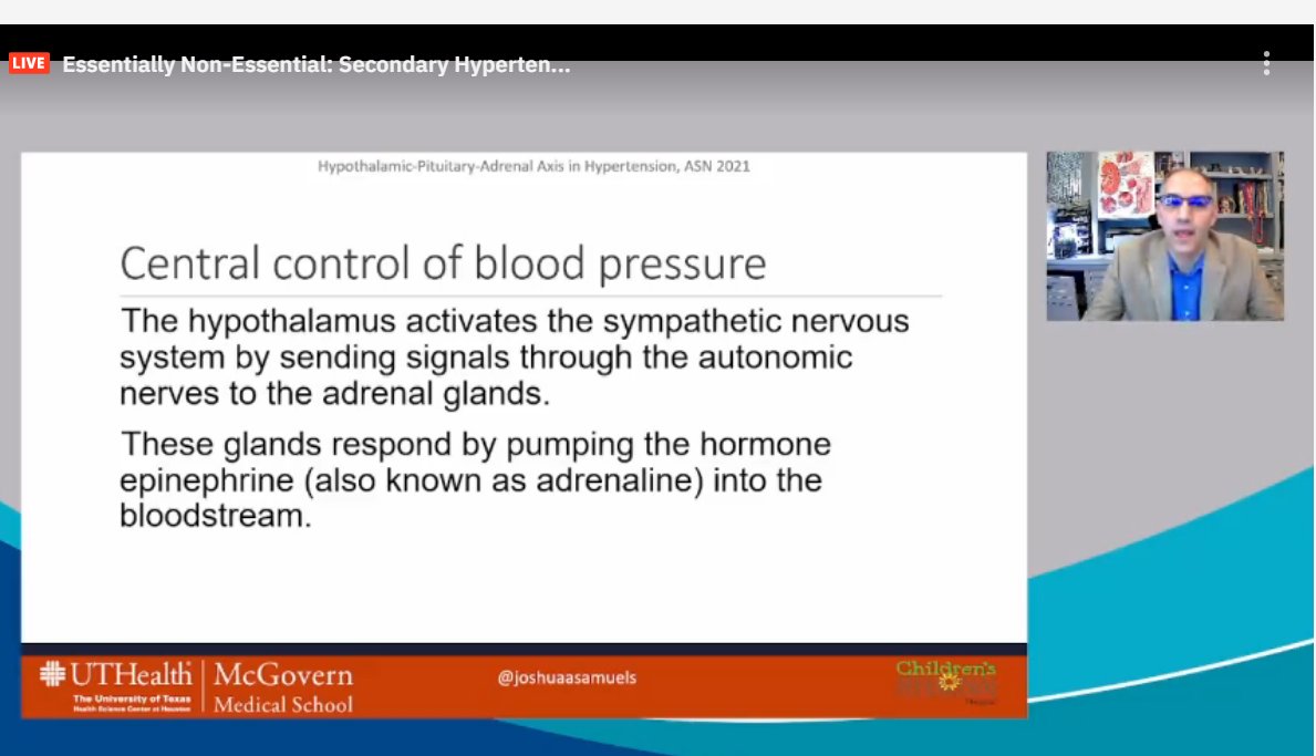 drM_sudha's tweet photo. HPA axis
about 300 years ago (in 1800s)- neural control of BP was postulated
Hypothalamus-->Sym NS-> adrena medula --> Adrenaline & NA--> flight / flight
#ASNKids21 #KidneyWk #HTN #secondaryHTN #PedsHTN #HPAaxis
@ASPNeph @AspnResearch @ASNKidney https://t.co/cfqYynpJyx