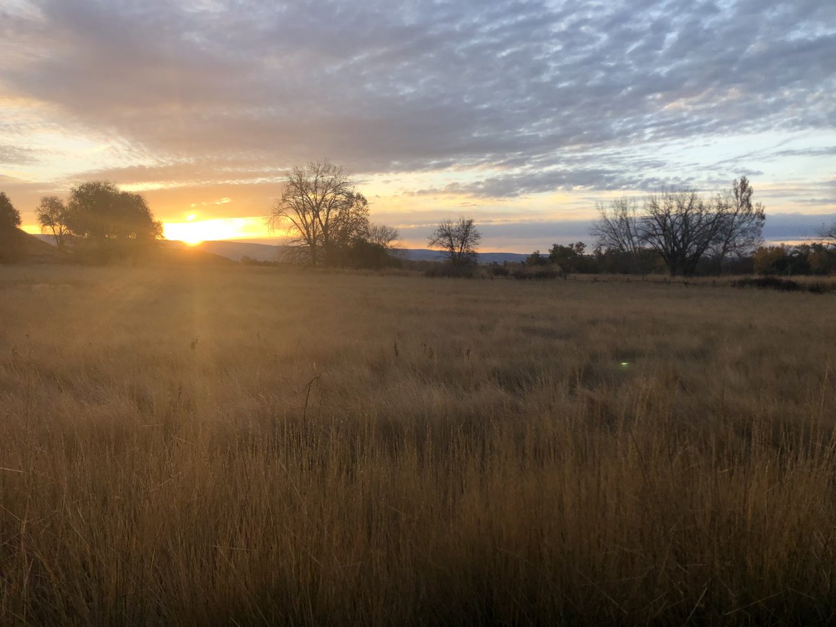 Today is Daylight Savings Time when our clocks fall back an hour  so the sun rises earlier in the winter.  This is not the only time change for Whitman Mission NHS this winter though.  Starting today the Whitman Mission NHS will be open Tues-Sat from 9am until 4pm each day.