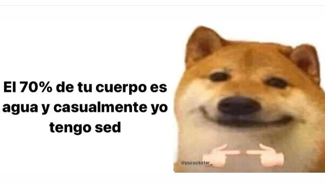 memes feos yo qué sé (@memefeos) on Twitter photo 