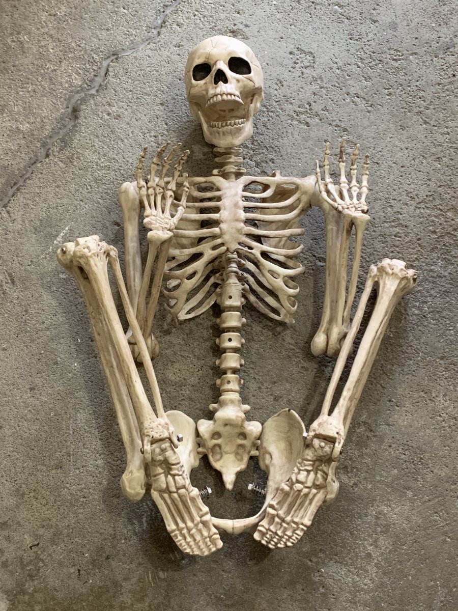 LifesizeHorror's tweet photo. Anyone else’s Halloween decorations a little scared to be put away? https://t.co/qxvteeIDgY