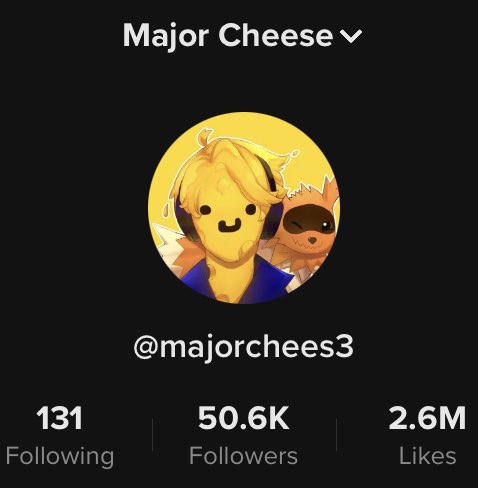 MajorChees3's tweet image. Thank y’all so much for 50k on TikTok this has really made my week