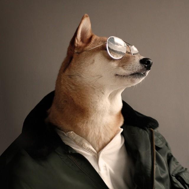 AlphaDoge's tweet photo. @Investments_CEO Nah Bruv, #DogeOnly https://t.co/t6IvDzlQfO