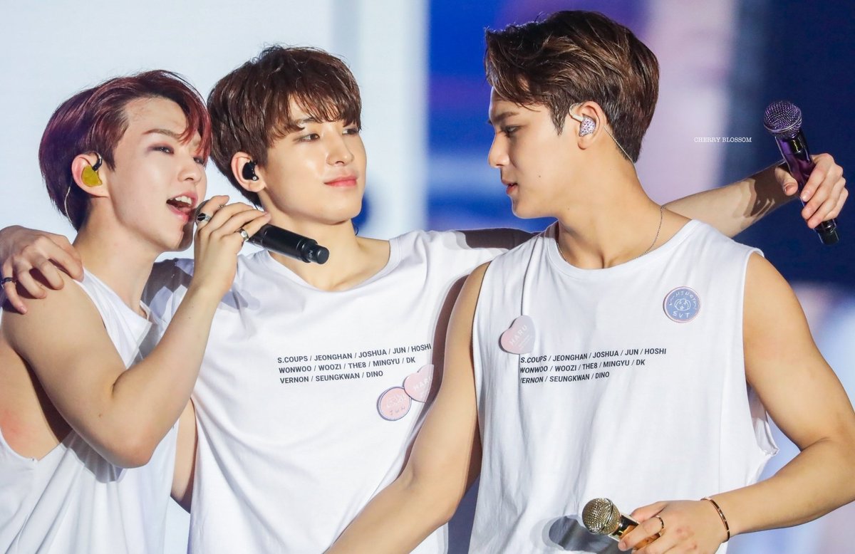 wonubliss's tweet photo. 🥰🐯🥰🦊🥰🐶🥰

I'm voting for #seventeen for #MAMAVOTE , 2021 MAMA https://t.co/gQ4QhFLicT