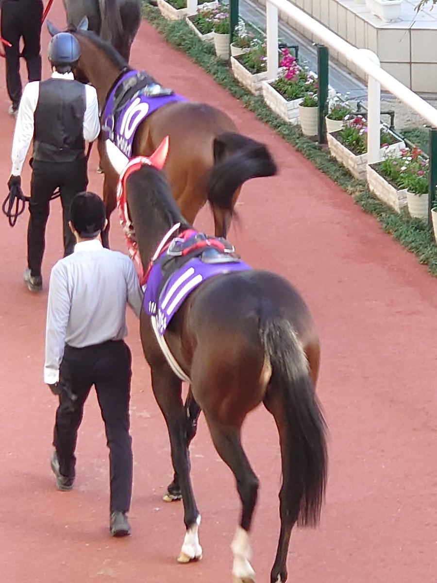 エリザベス ロケ地 撮影秘話 最新情報まとめ みんなの評価 レビューが見れる ナウティスモーション 13ページ目