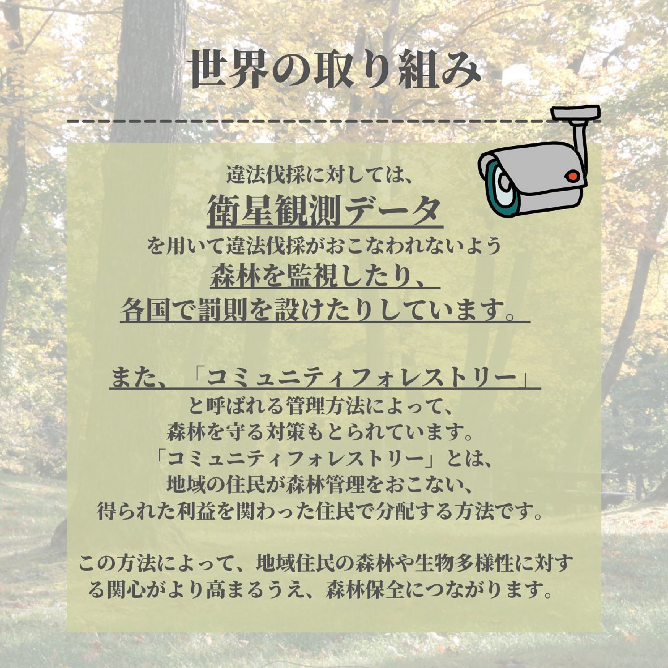 森林破壊 Twitter Search Twitter