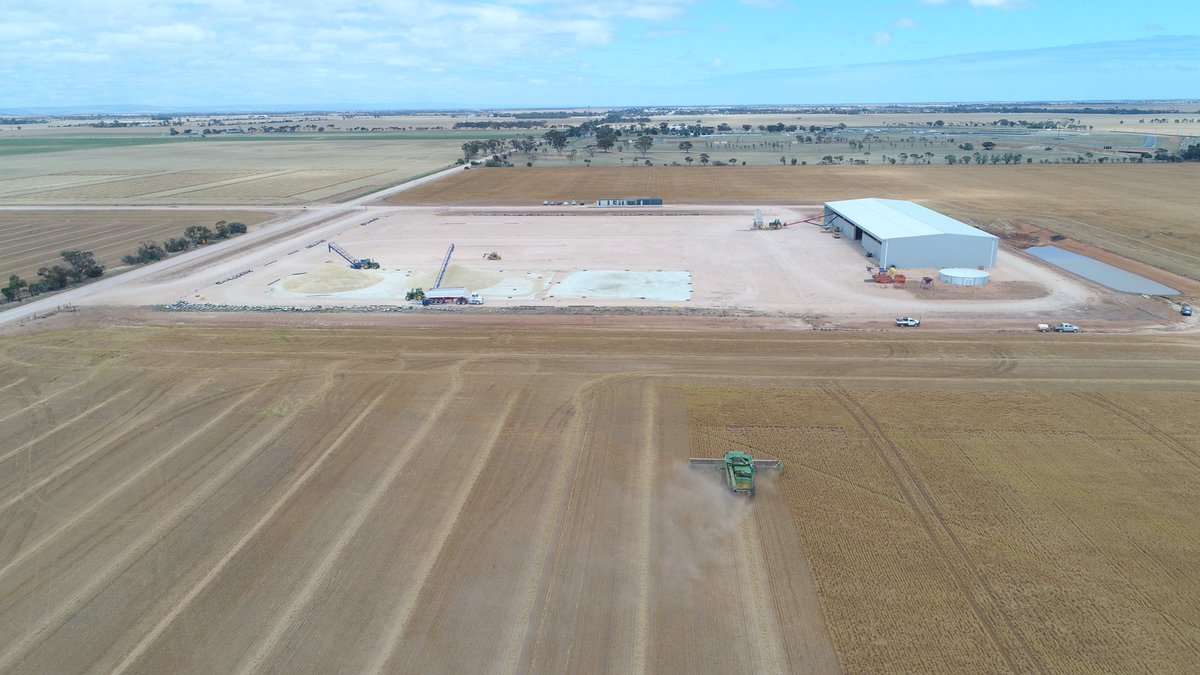 Nearly 12 months to the date &amp; into #lentils after the storms went around us yesterday