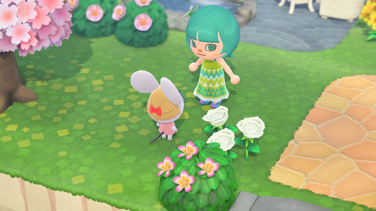 S3iyu's tweet photo. #AnimalCrossing #ACNH #NintendoSwitch https://t.co/Nta5d10Zxd